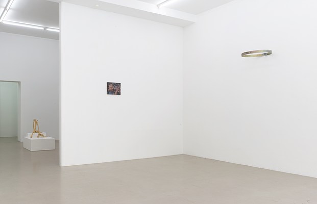 Image 7 of 18