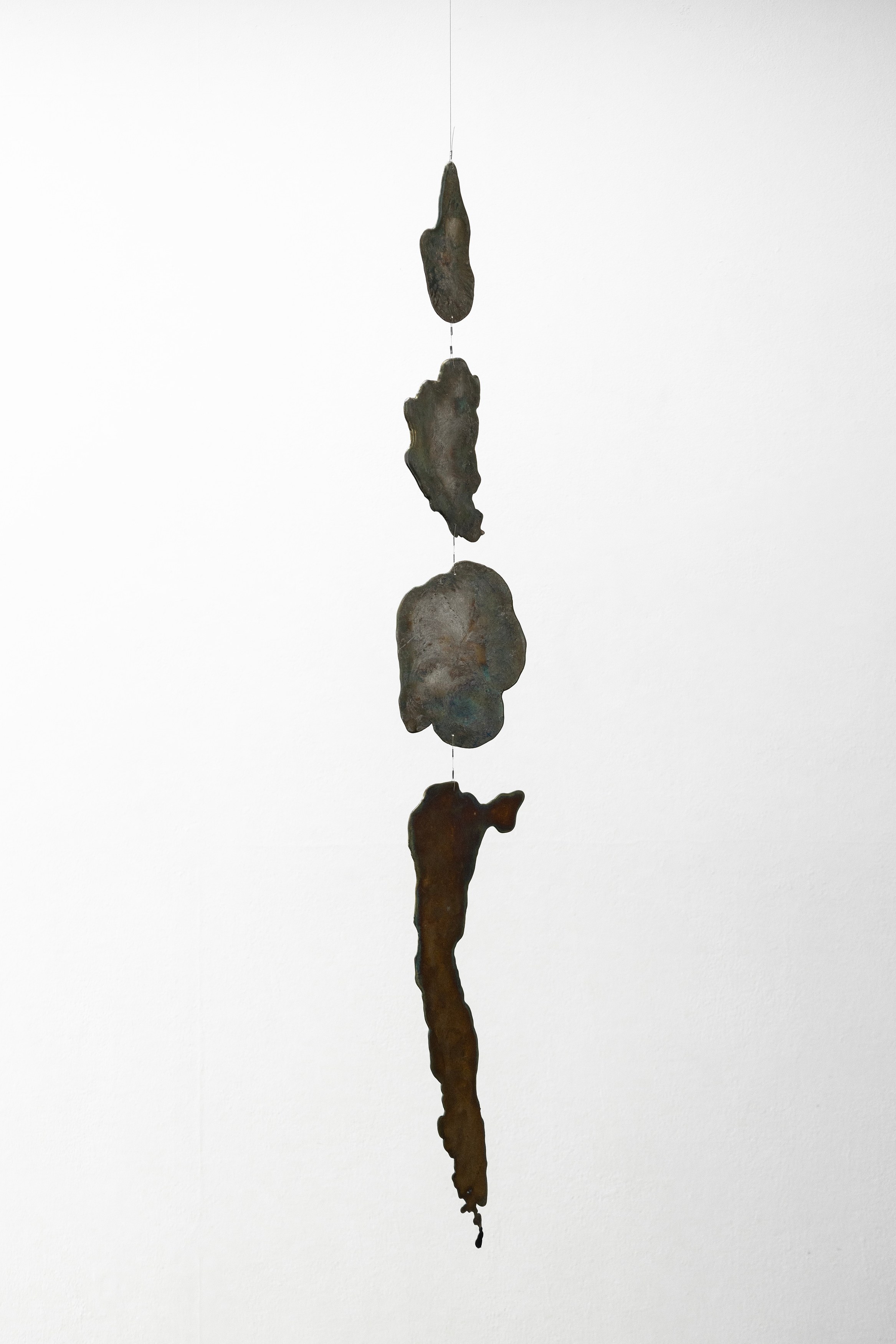 Hernâni Reis Batista, João Pedro Trindade, image 16 of 26