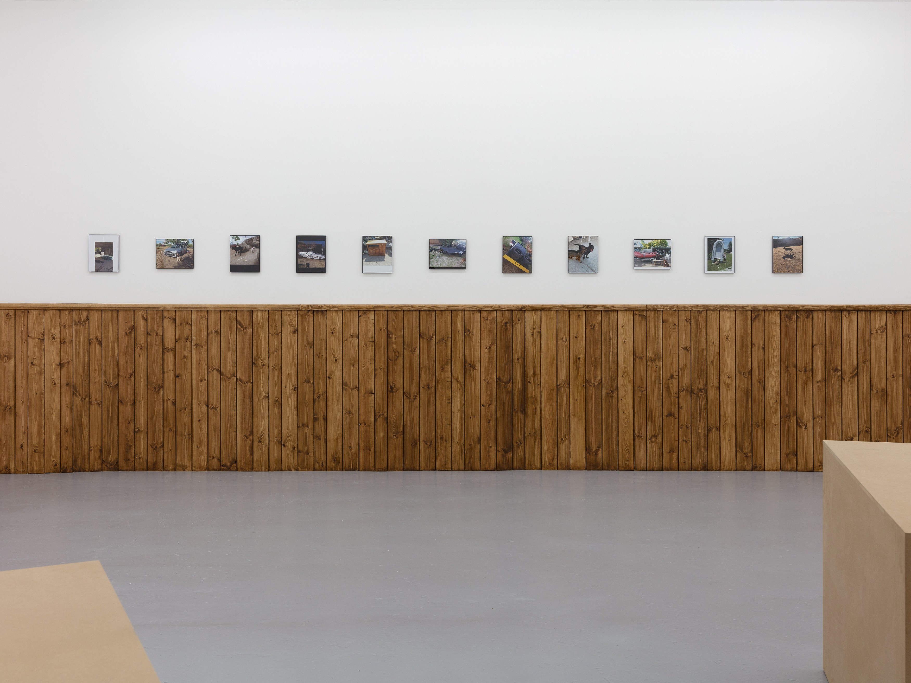 Gaylen Gerber, Puppies Puppies (Jade Guanaro Kuriki-Olivo), Megan Plunkett, Condo London 2019 at Emalin, photo 2