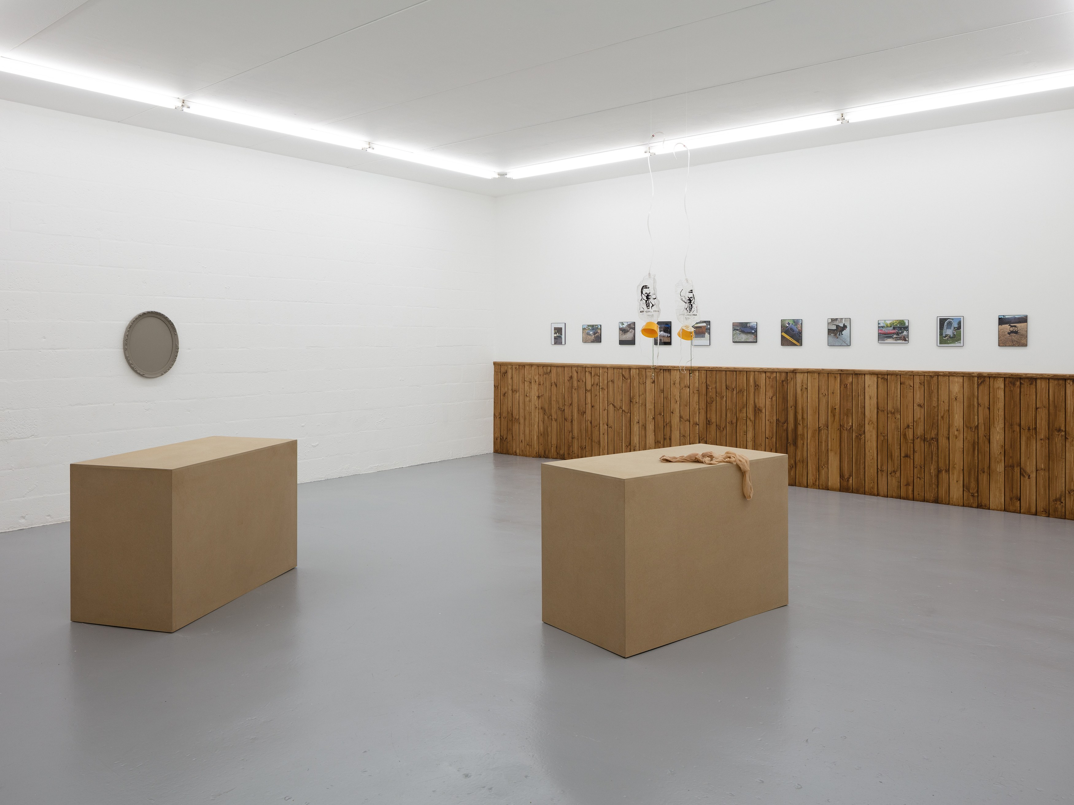 Gaylen Gerber, Puppies Puppies (Jade Guanaro Kuriki-Olivo), Megan Plunkett, Condo London 2019 at Emalin, photo 5
