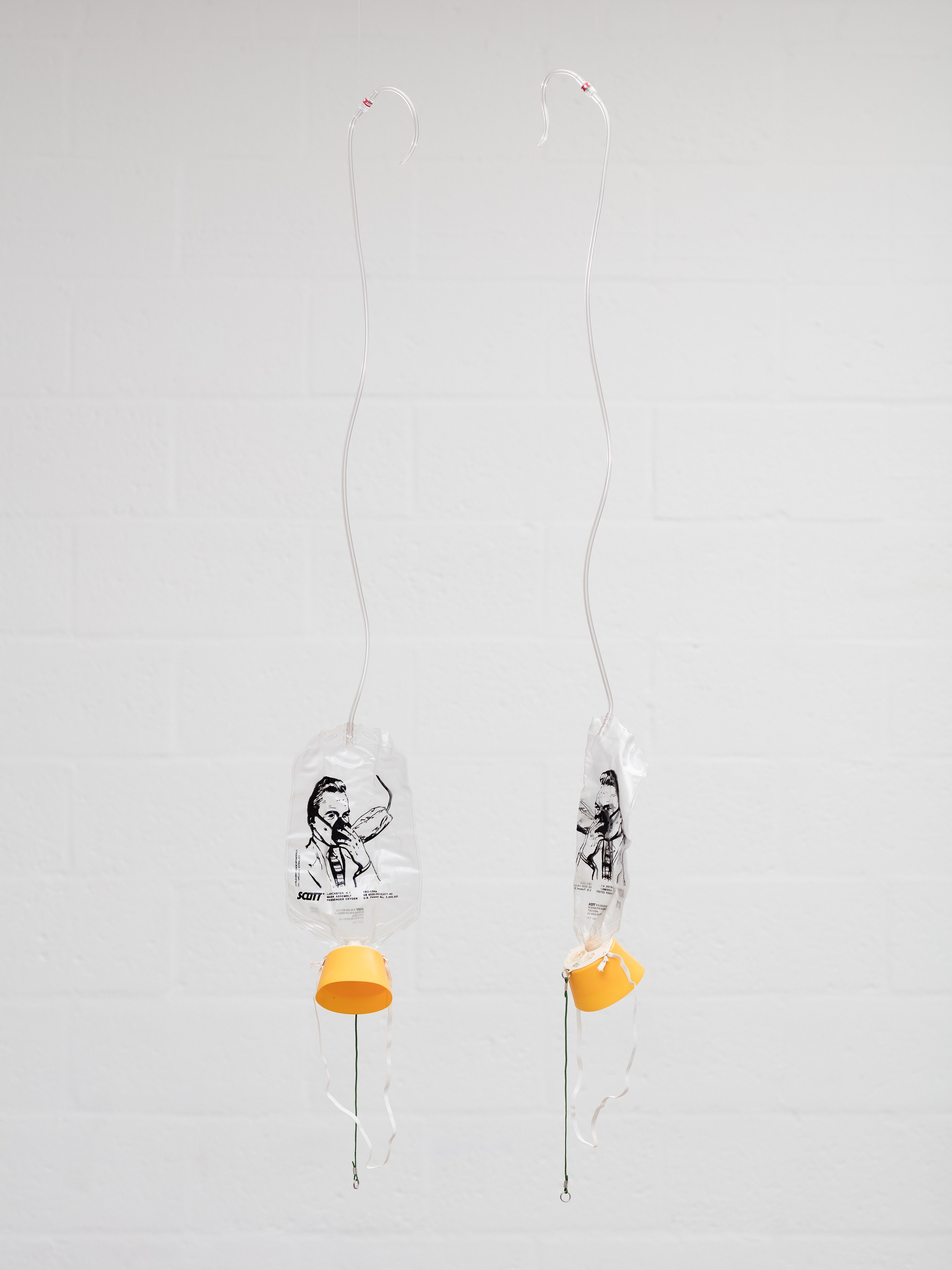 Gaylen Gerber, Puppies Puppies (Jade Guanaro Kuriki-Olivo), Megan Plunkett, Condo London 2019 at Emalin, photo 7