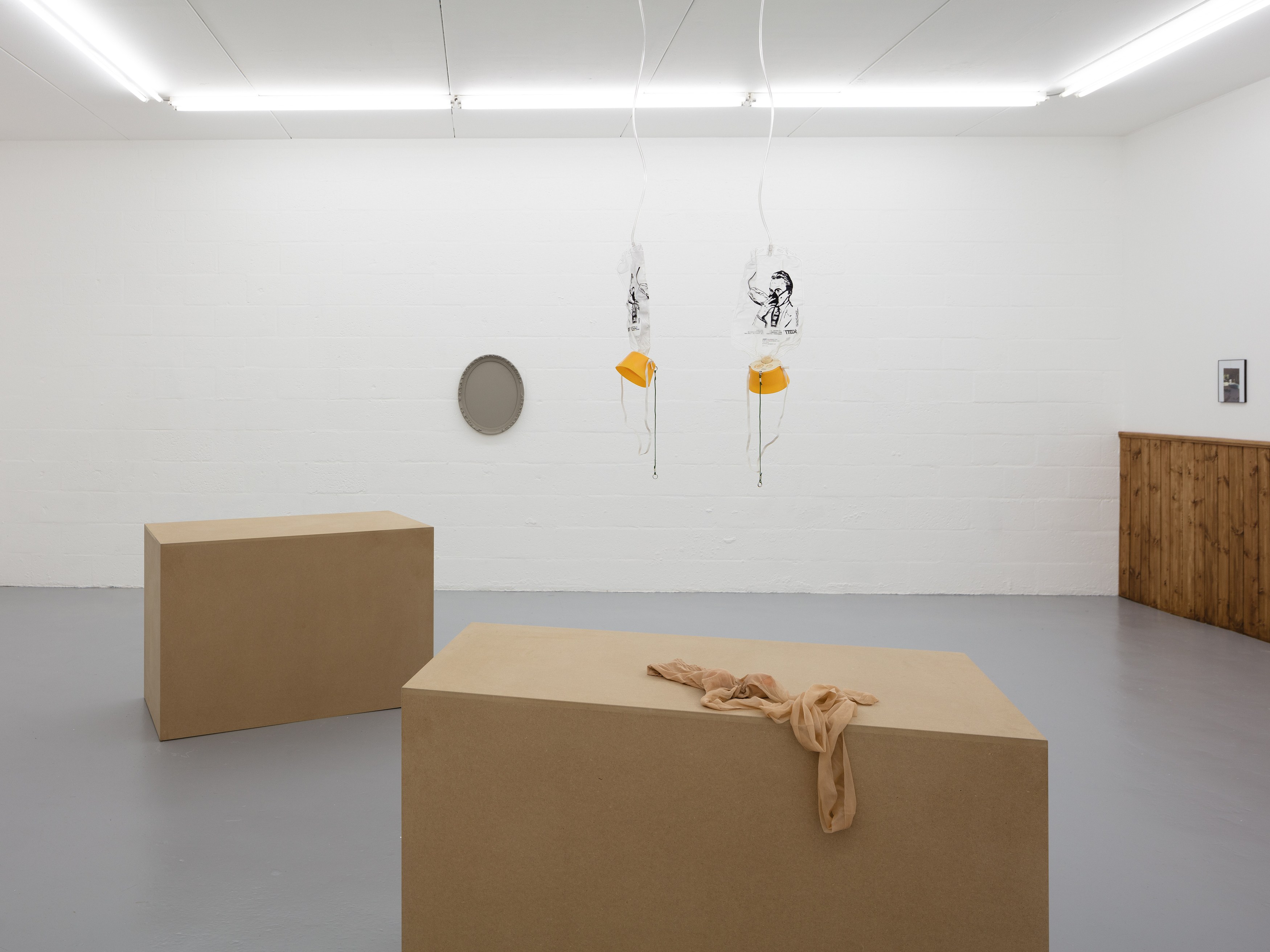 Gaylen Gerber, Puppies Puppies (Jade Guanaro Kuriki-Olivo), Megan Plunkett, Condo London 2019 at Emalin, photo 8
