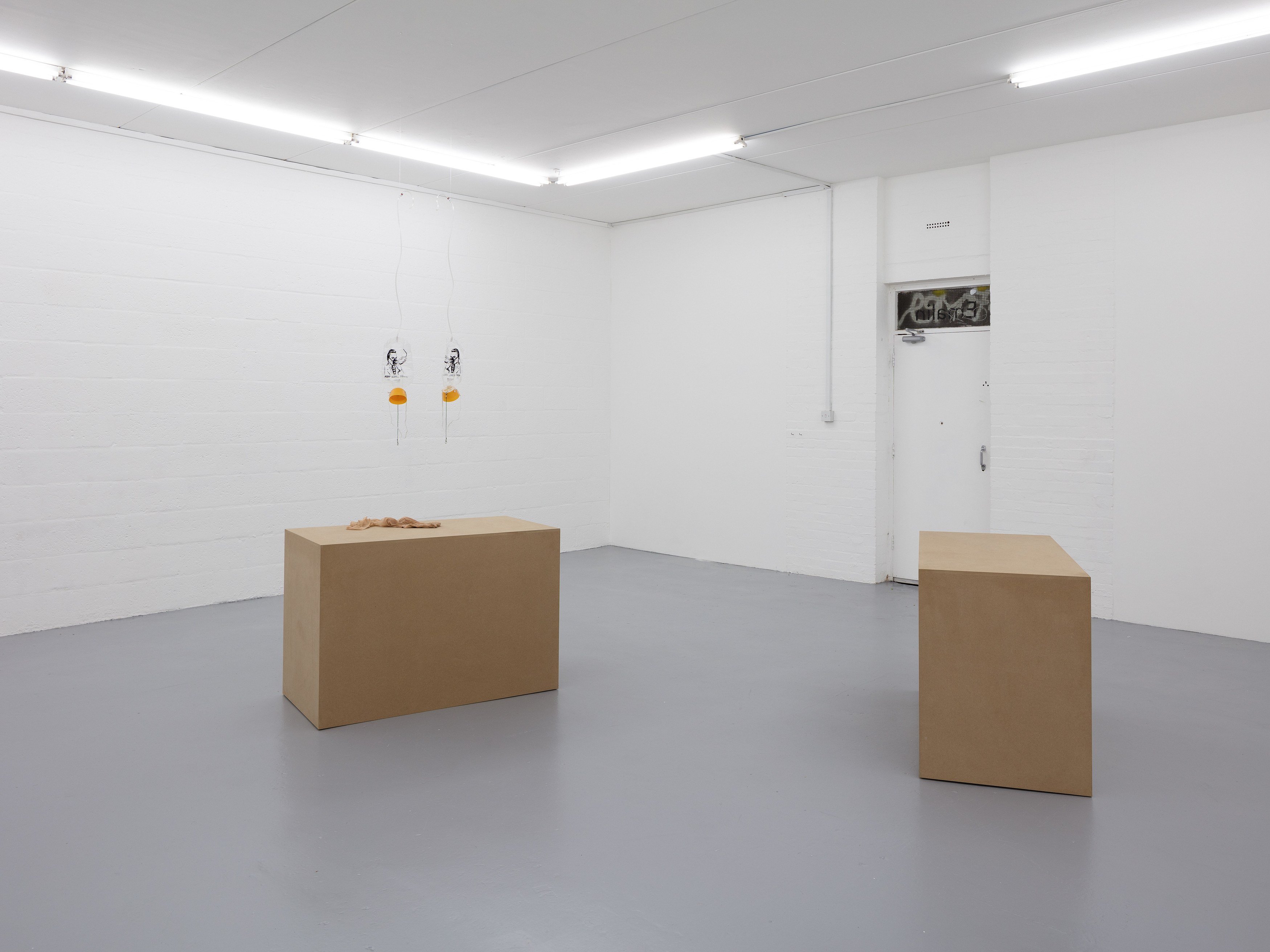 Gaylen Gerber, Puppies Puppies (Jade Guanaro Kuriki-Olivo), Megan Plunkett, Condo London 2019 at Emalin, photo 13