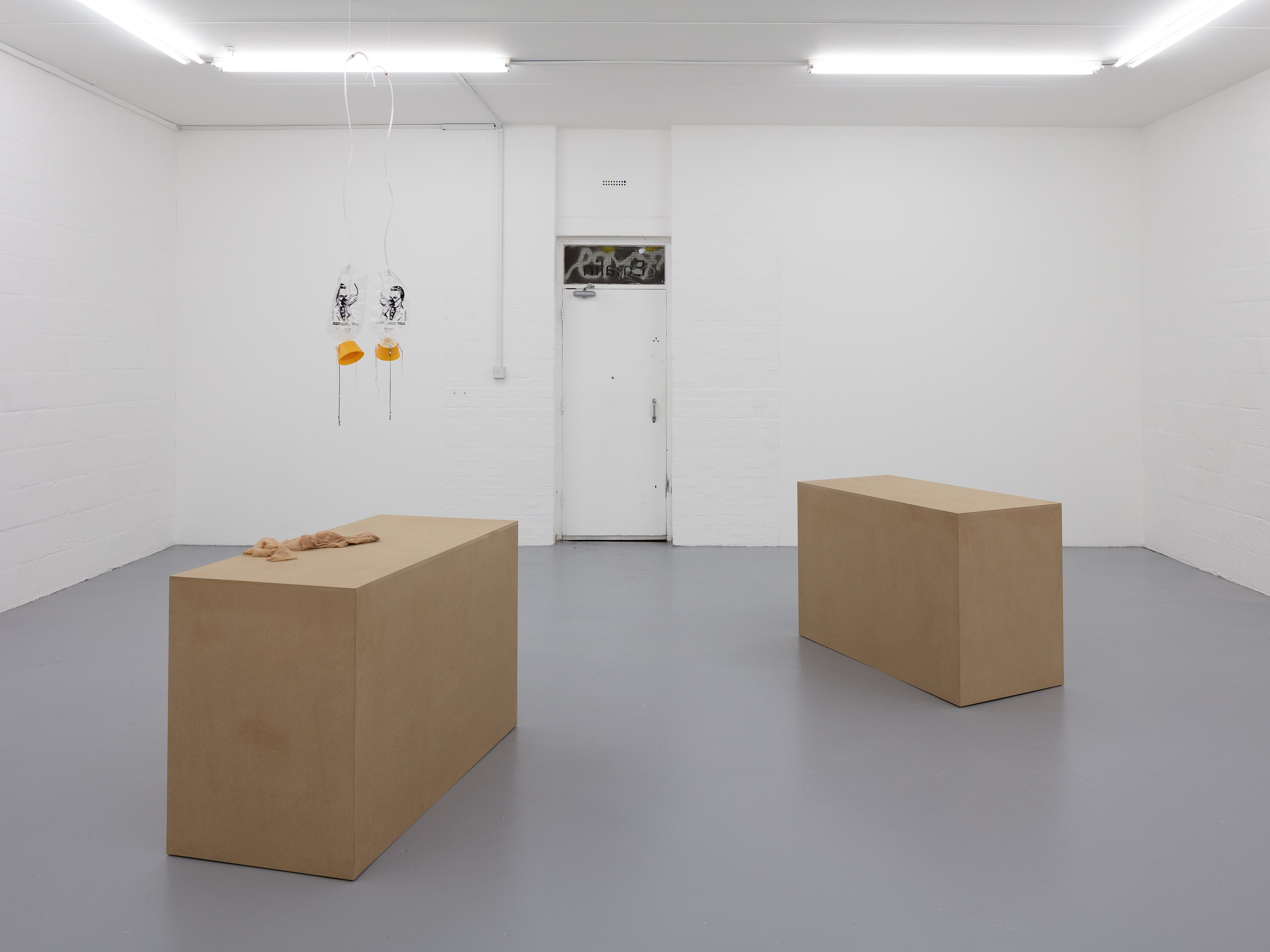 Gaylen Gerber, Puppies Puppies (Jade Guanaro Kuriki-Olivo), Megan Plunkett, Condo London 2019 at Emalin, photo 14