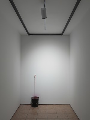 Image 5 of 13