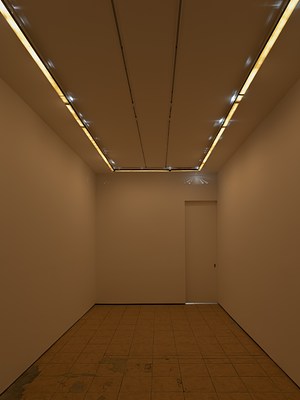 Image 1 of 13