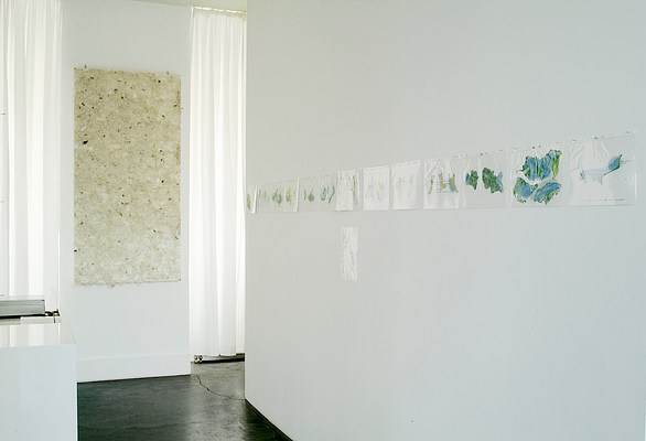 Image 6 of 13