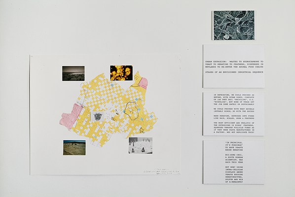Image 7 of 13