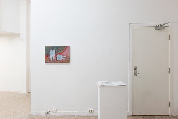 Image 4 of 16