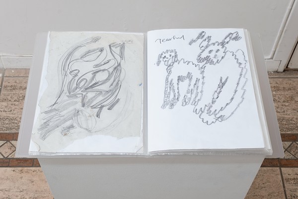 Image 10 of 16