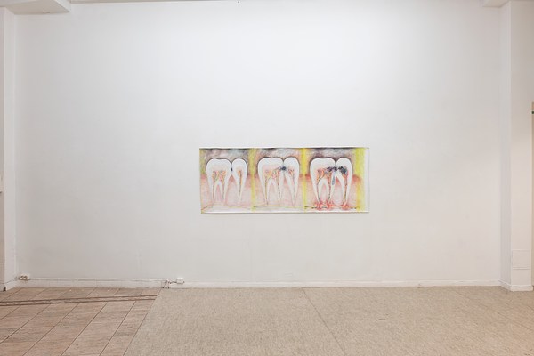Image 2 of 16
