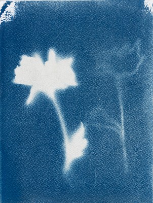 Image 27 of 34