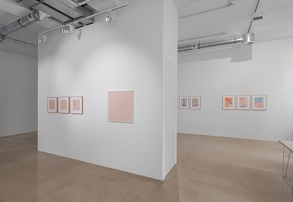 Image 11 of 14