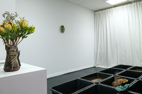 Image 8 of 27