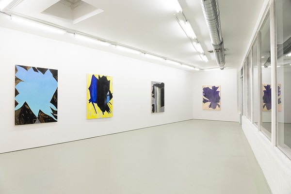 Image 13 of 20