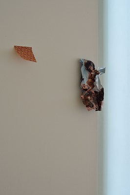 Image 2 of 10