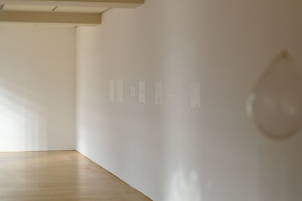 Image 4 of 10