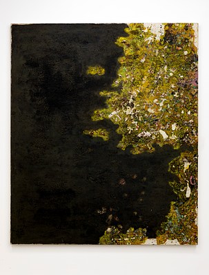 Image 13 of 17