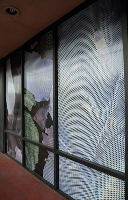 Image 24 of 34