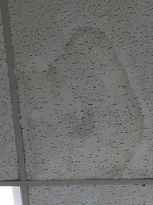 Image 24 of 50