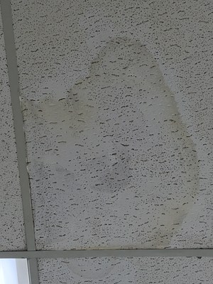 Image 25 of 50