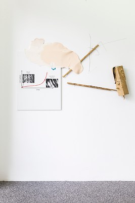 Image 7 of 18
