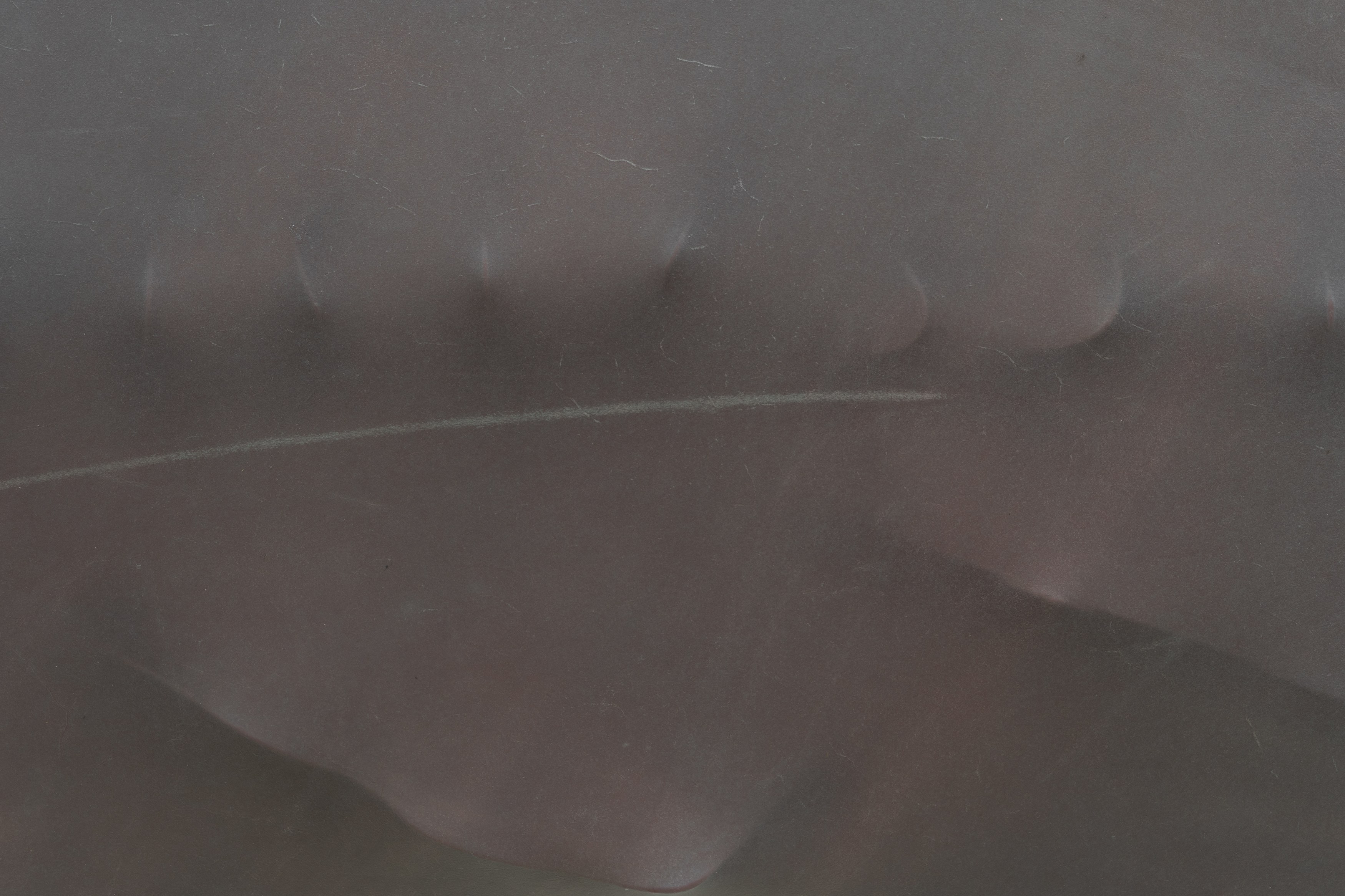 Manon Wertenbroek, Home Auto-Psy at Lo Brutto Stahl, photo 26