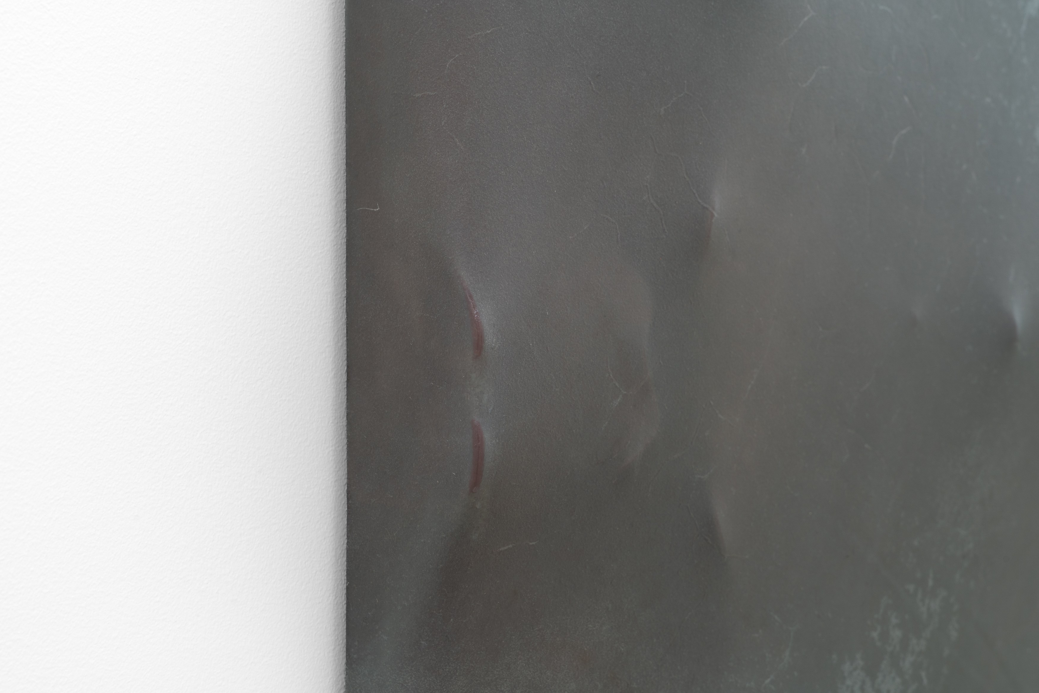 Manon Wertenbroek, Home Auto-Psy at Lo Brutto Stahl, photo 31