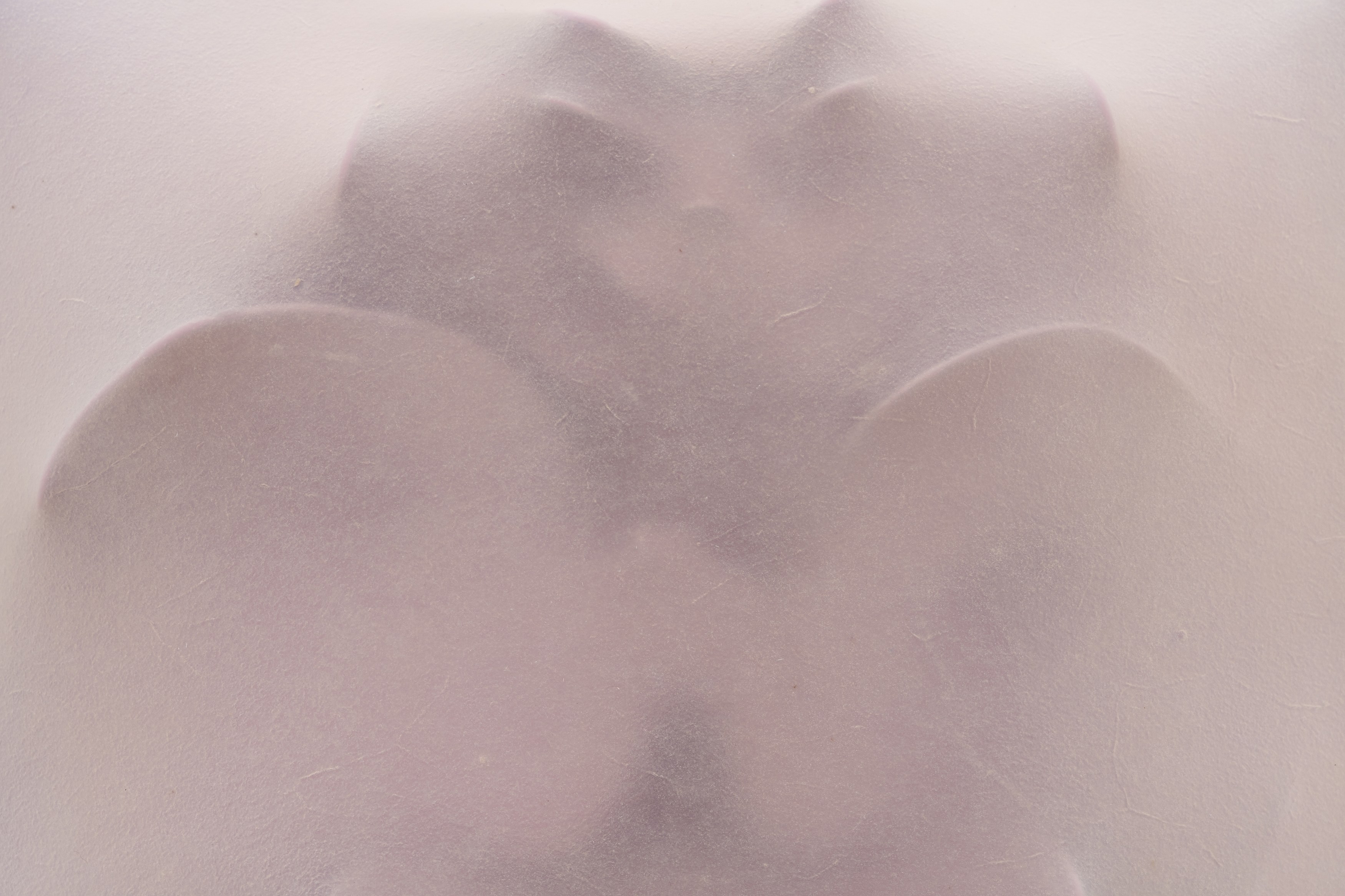 Manon Wertenbroek, Home Auto-Psy at Lo Brutto Stahl, photo 34