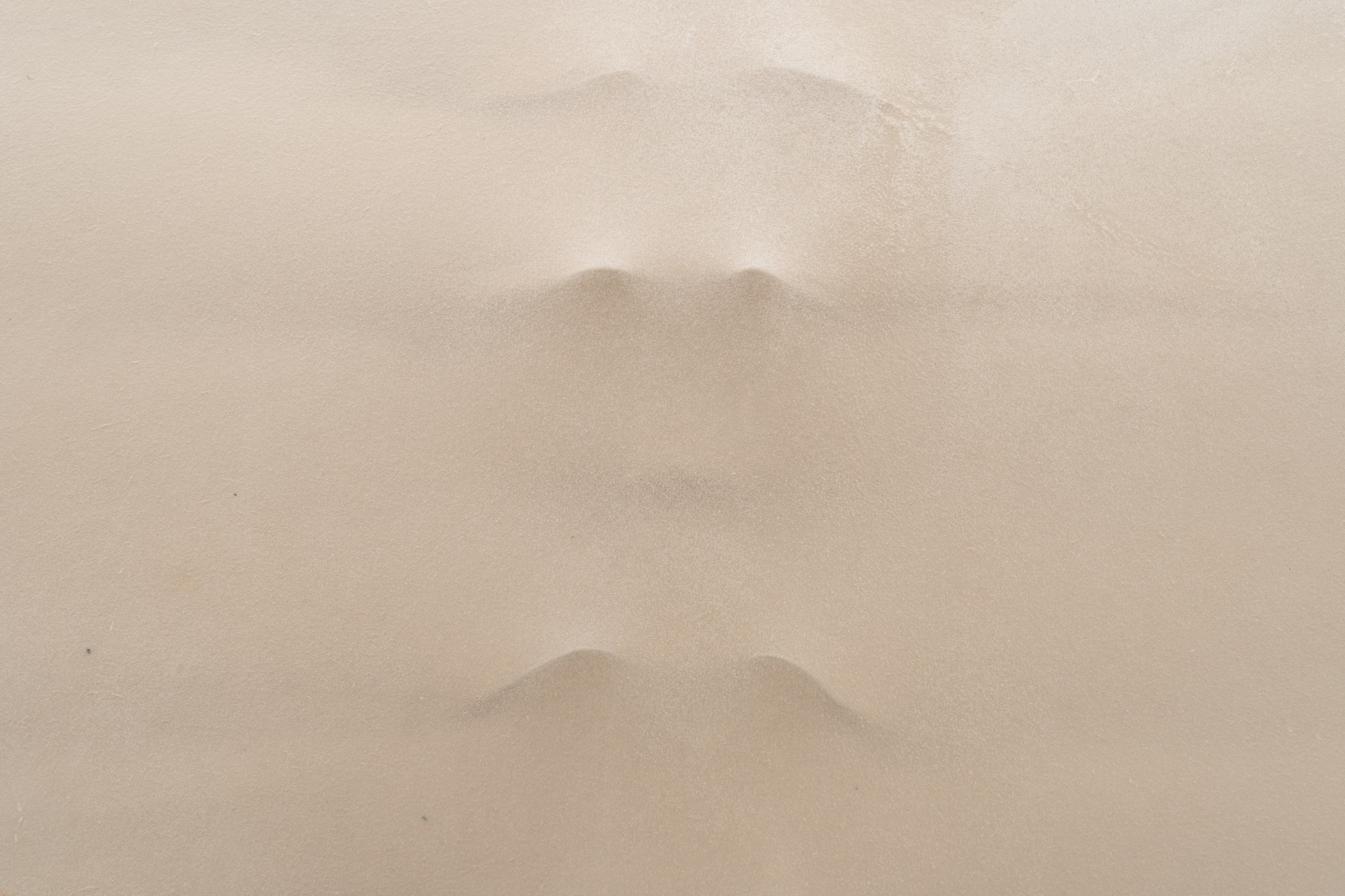 Manon Wertenbroek, Home Auto-Psy at Lo Brutto Stahl, photo 43