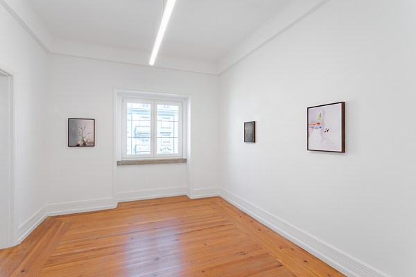 Image 3 of 23