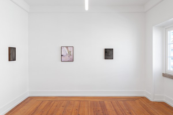 Image 10 of 23