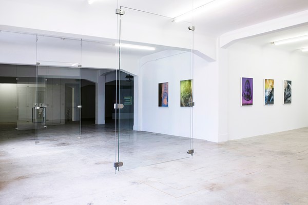 Image 6 of 20