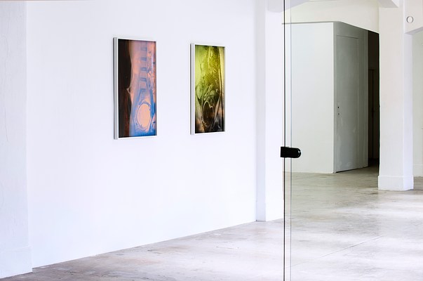Image 8 of 20