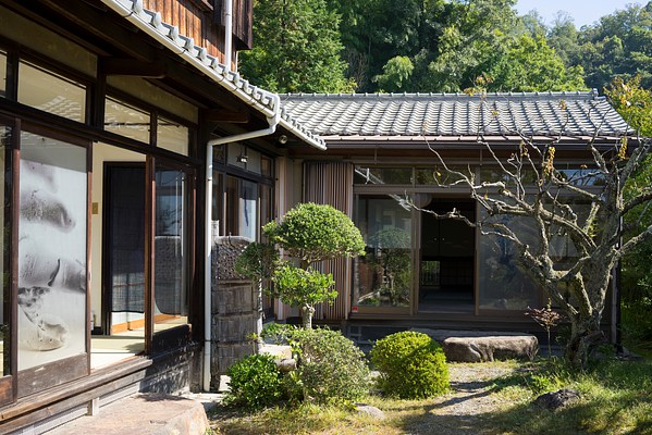 Image 1 of 19