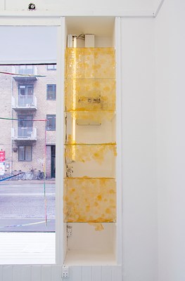 Image 7 of 70