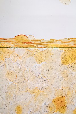 Image 8 of 70