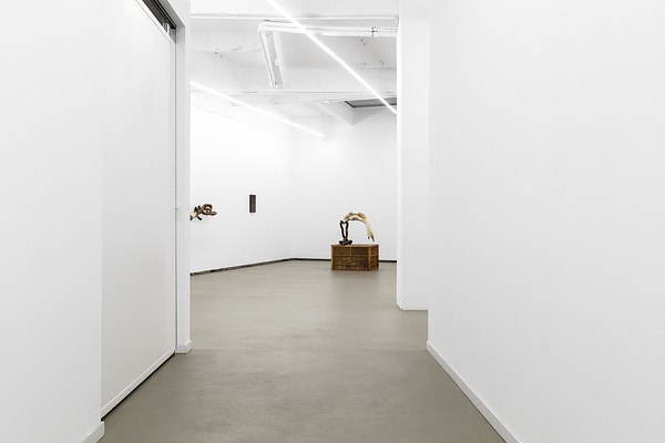 Image 1 of 19