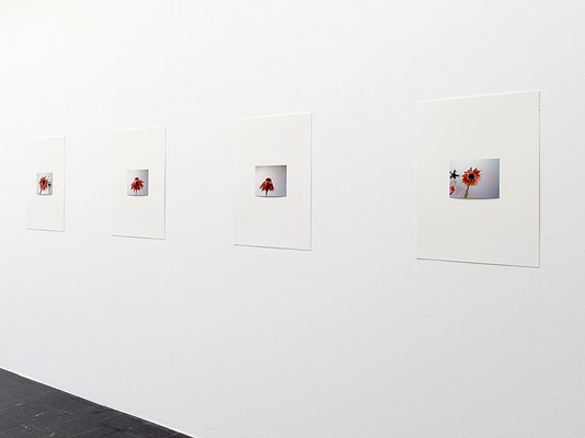 Image 7 of 29