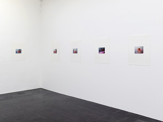 Image 8 of 29