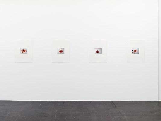Image 10 of 29