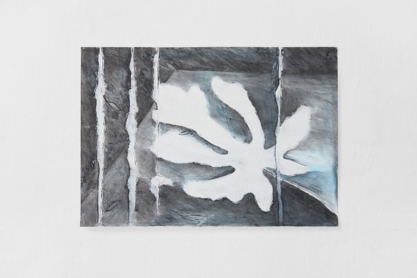 Image 4 of 33