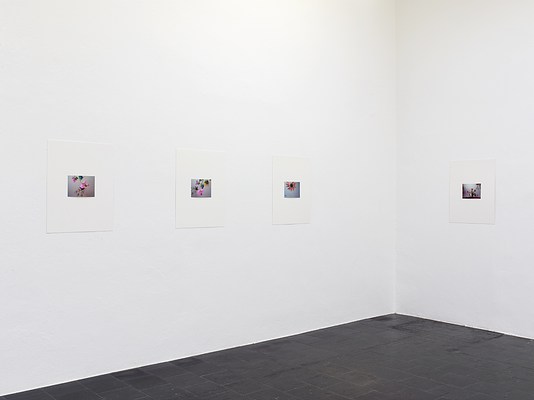 Image 15 of 29