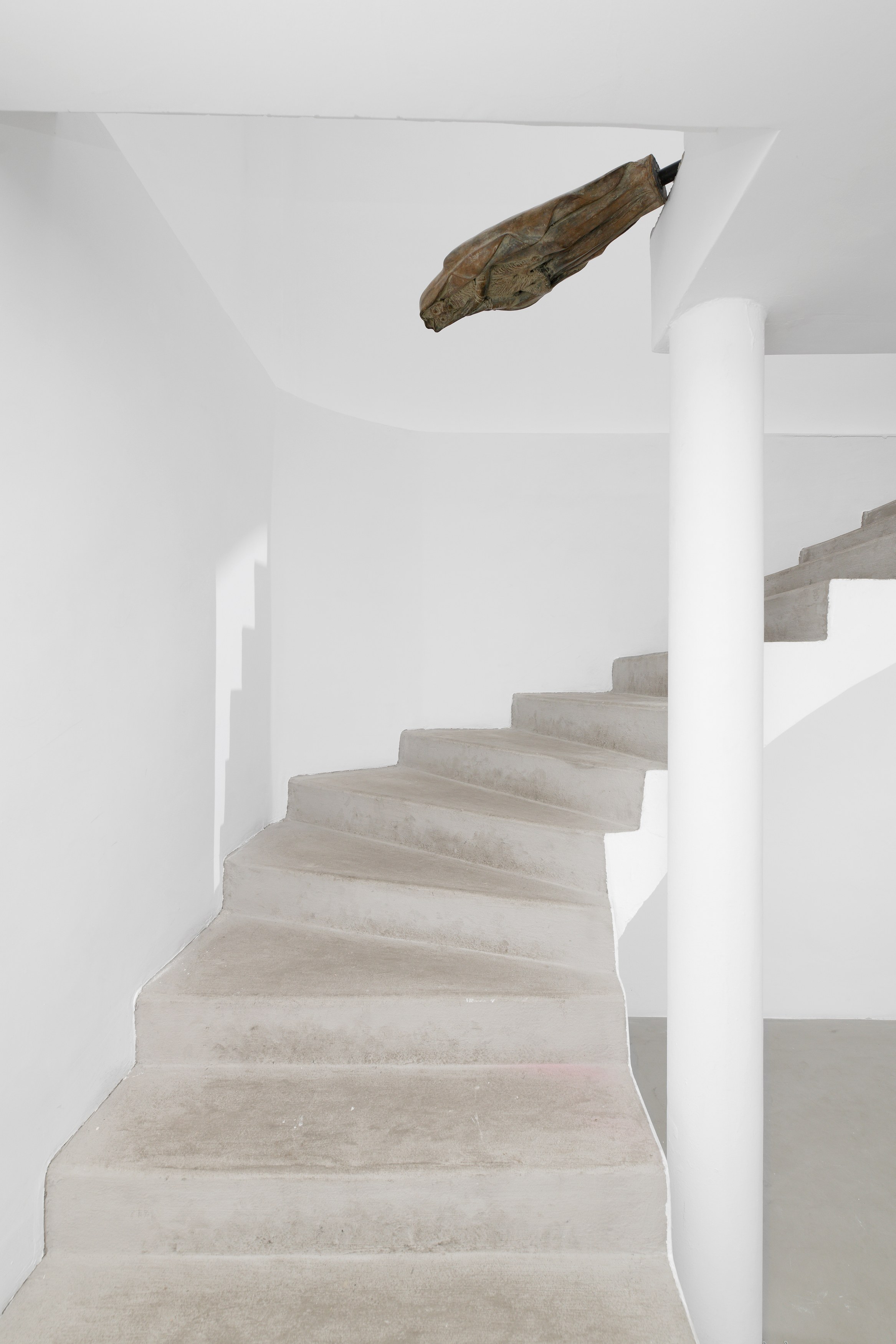 Enzo Cucchi, I maschi at Galerie Balice Hertling, photo 5