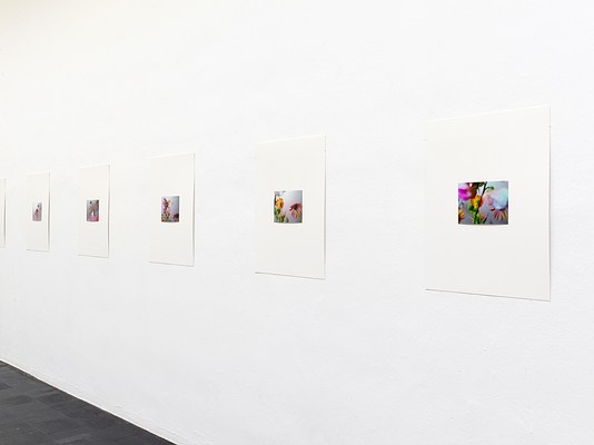 Image 19 of 29