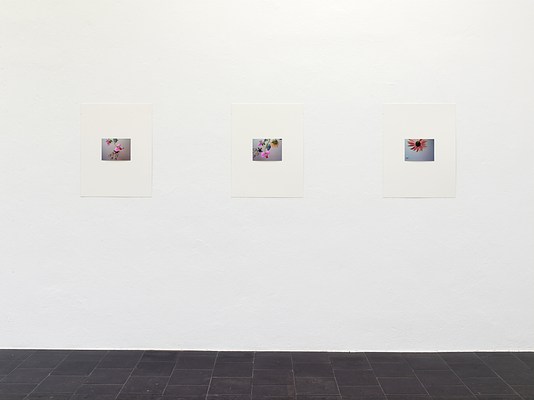 Image 20 of 29
