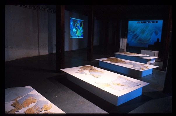 Image 10 of 21