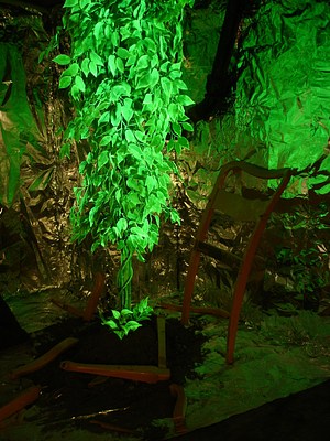 Image 24 of 30