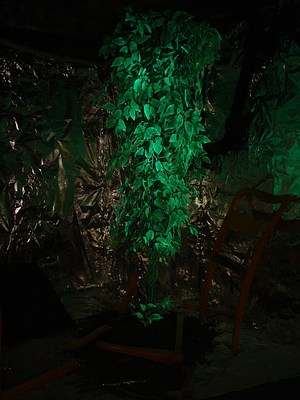 Image 25 of 30