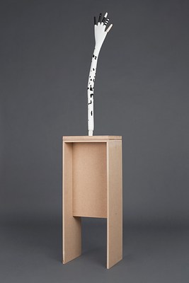 Image 14 of 14